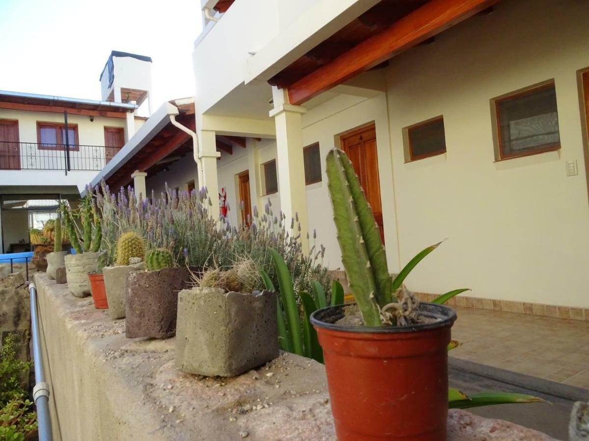 Casa Cactus Cafayate Hotel Ngoại thất bức ảnh