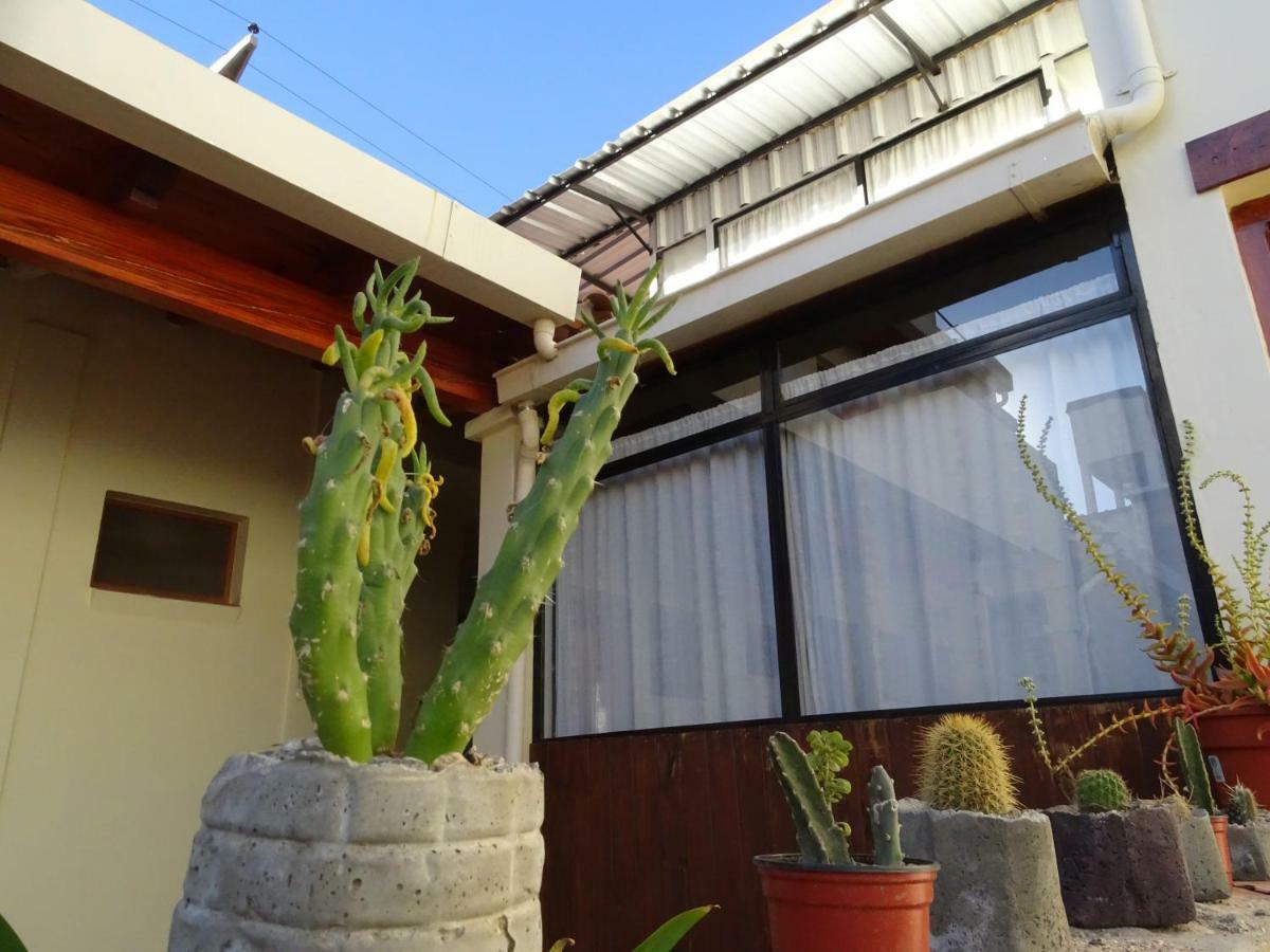 Casa Cactus Cafayate Hotel Ngoại thất bức ảnh